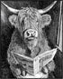 Posterizer 1 pcs-funny cute highland cow reading on toilet 5-Bathroom Restroom Art-Art for Animal Lovers-Decor for Home & Office- unframed wall ar...